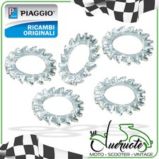 DADO VOLANO RONDELLA ALBERO