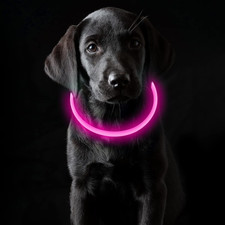 Collare Luminoso per Cani USB