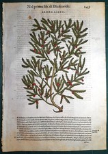 Stampa antica MATTIOLI