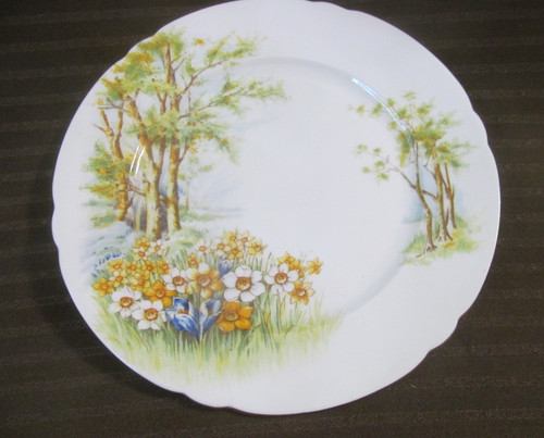 Piatto sweet daffodil time - sweet~daffodil,