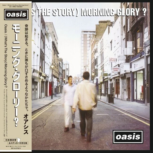 Oasis morning glory - oasis, /