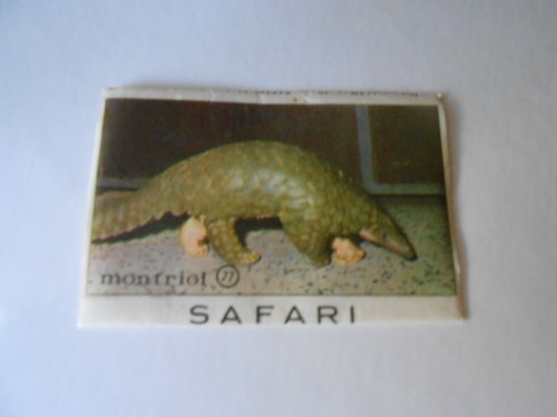 Figurina safari ed - safari, n.