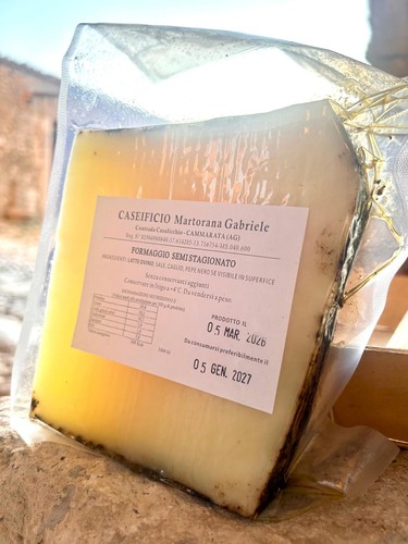 Formaggio pecorino stagionato - pecorino,