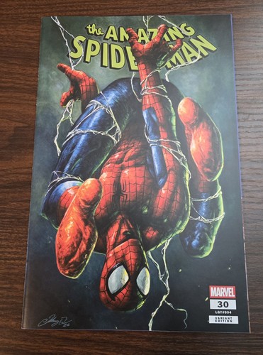 The amazing spider - spider-man, #30