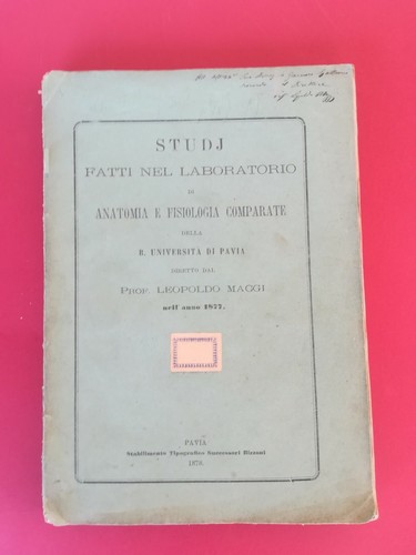 Studj anatomia fisiologia - e,