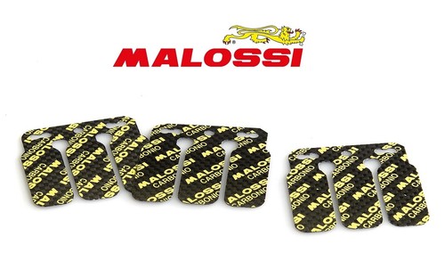 Serie lamelle malossi italjet - serie,
