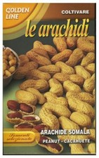 Semi/Seeds ARACHIDE SOMALA -