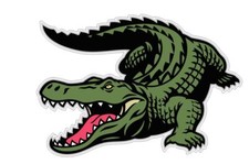 Alligator Gator Crocodile Croc