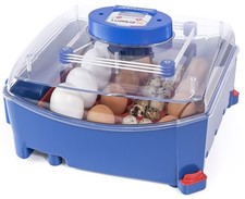 Incubatrice per Uova