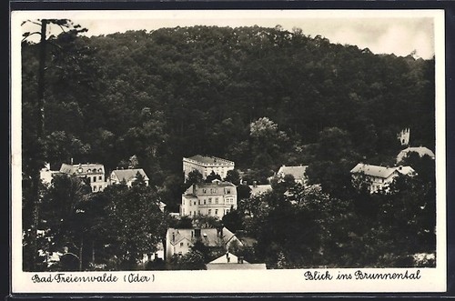 Cartolina bad freiwalde la - cartolina,