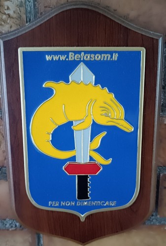 Crest associazione betasom - associazione,