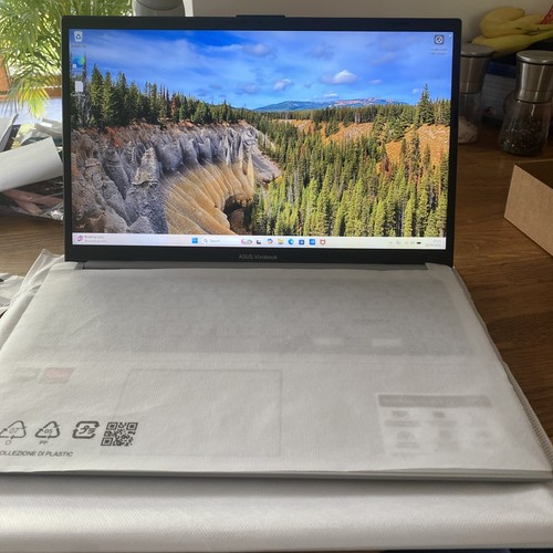 Asus vivobook laptop - laptop, e1504f