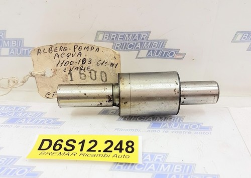 D6s12 248 albero - d6s12.248, con