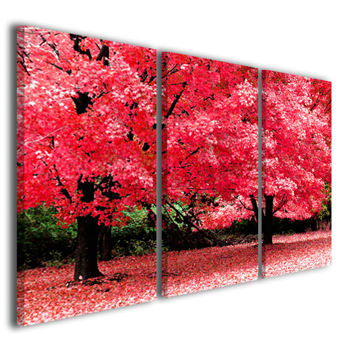 Quadro tela paesaggio - tela,