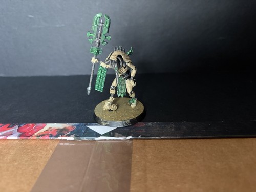 Necrons kamoteph storto - necrons,
