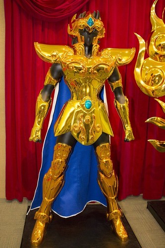 Armatura oro leo - leo, completo