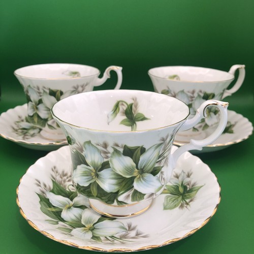 Royal albert trillium - albert,