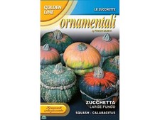 SEMENTI DI ZUCCHETTA ZUCCA ORNAMENTALE LARGE FUNGO orto giardino semi
