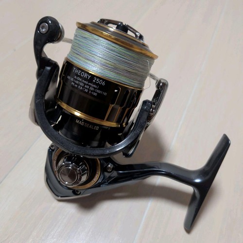 Daiwa theory 2506 - 2506, da