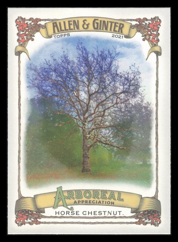2021 topps allen ginter - 2021,