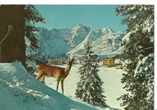 Misurina (BL) Panorama Invernale con Capriolo, Hotels e Lago Ghiacciato, 4 cart.