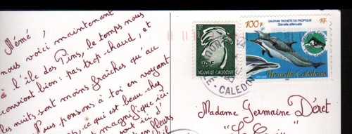 Vao ile des pins - pins, (nouvelle