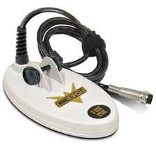 Fisher gold bug - fisher, bug-2