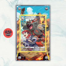 Pokémon Teca Magnetica
