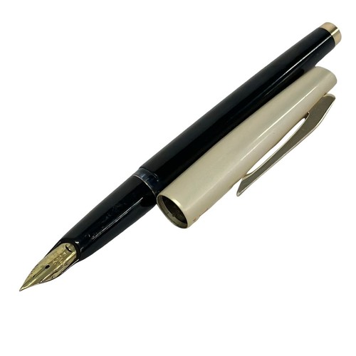 Penna stilografica pilot oro - stilografica,