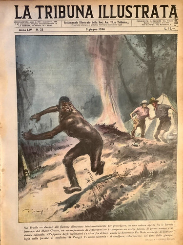 1946 tribuna illustrata - 1946,