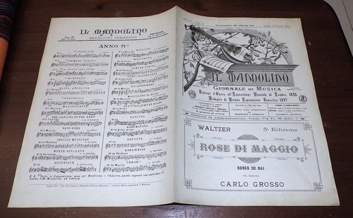 Mandolino del 1898 - mandolino, 1