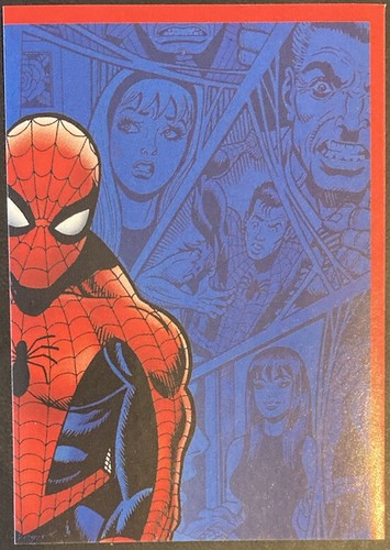The amazing spider man panini - amazing,