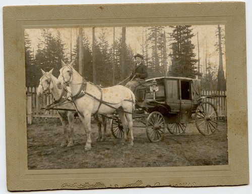 Carrozza cavallo bianco