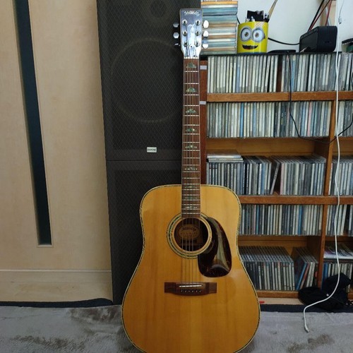 Chitarra acustica hillbilly - chitarra,