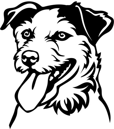 Adesivo jack russell - adesivo,