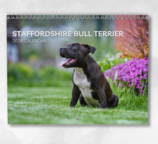 Calendario Staffordshire Bull