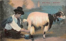 Lot 21 malta maltese milk
