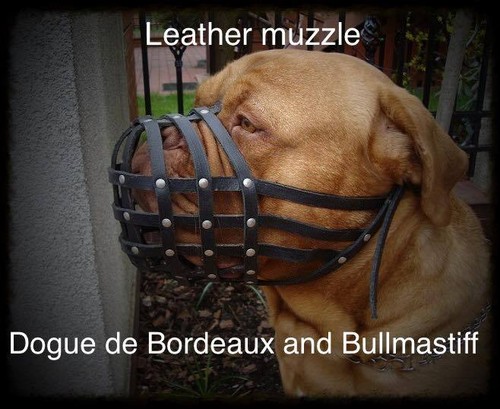 Museruola per cani pelle - per,