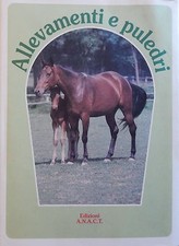 Cavalli Allevamenti e puledri