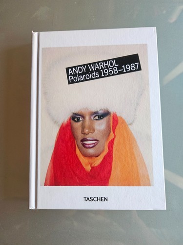 Andy warhol polaroids - warhol, 20cm