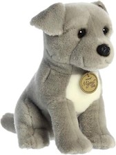 Aurora - Miyoni - Cucciolo Pit