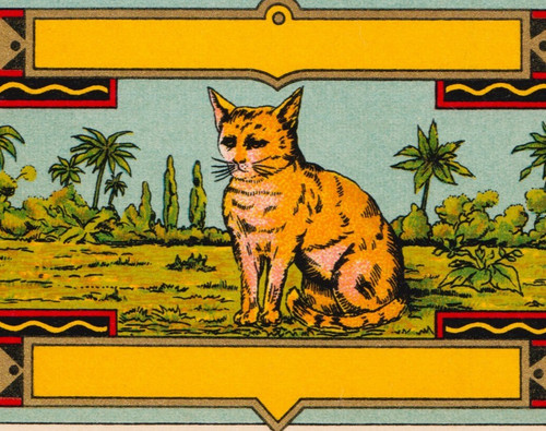 Antique cigar box label - antique, cat