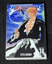 BLEACH 74 Variant Cover Lucca