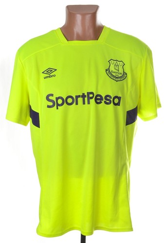 Everton 2017 2018 - everton, training