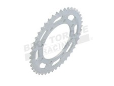 Pignone posteriore in acciaio