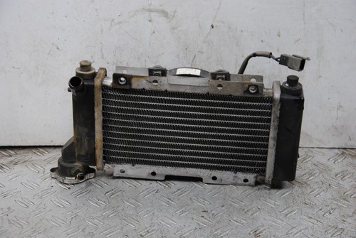 66326 radiatore - radiatore, +