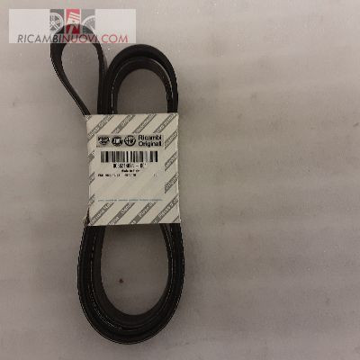 Cinghia trasmissione poly - trasmissione, poly-v