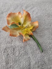 Fabar Giglio Arancione