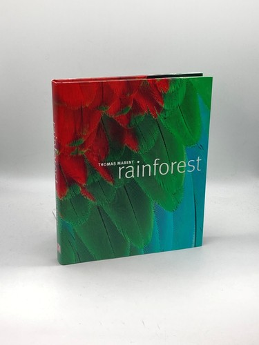 Rainforest