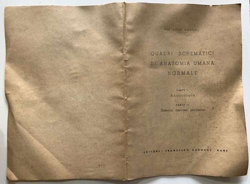 Luigi martino quadri - luigi,